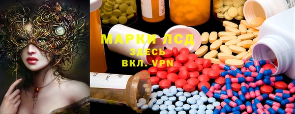 PSILOCYBIN Верхний Тагил