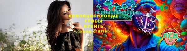 2c-b Бронницы
