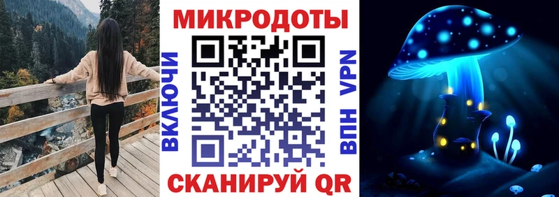 Купить где  Мещовск  Галлюциногенные грибы Cubensis 